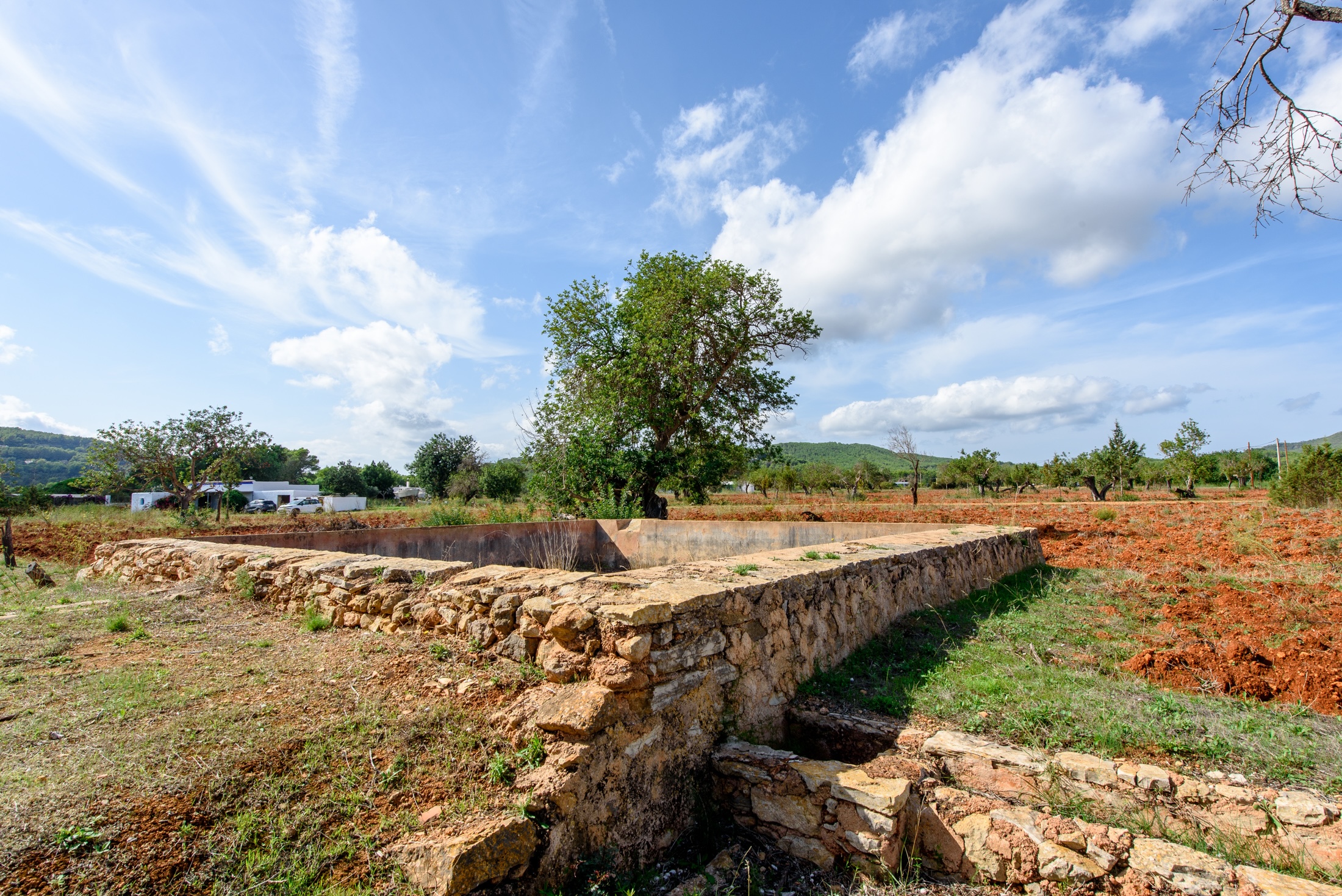 WEB RES-plotesnovells-4.jpg